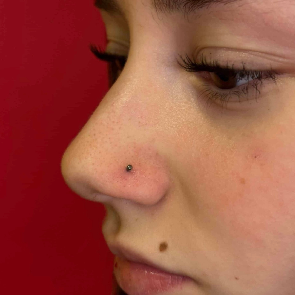 ESSETY JEWELS - Labret Pallina Threadless Completo Silver