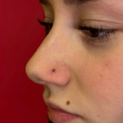 ESSETY JEWELS - Labret Pallina Threadless Completo Silver